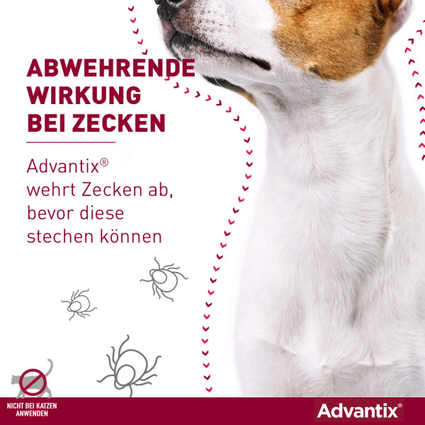 ADVANTIX Spot-on Lsg.z.Auftr.a.d.H.f.Hund 4-10 kg