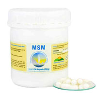 MSM KAPSELN 1000 mg