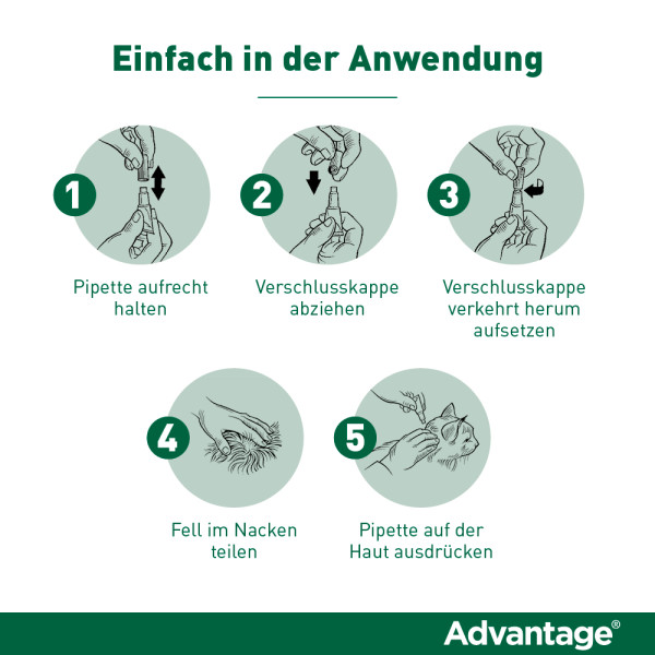 ADVANTAGE 40 mg Lsg.f.kl.Katzen/kl.Zierkaninchen