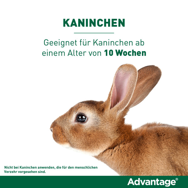 ADVANTAGE 40 mg Lsg.f.kl.Katzen/kl.Zierkaninchen