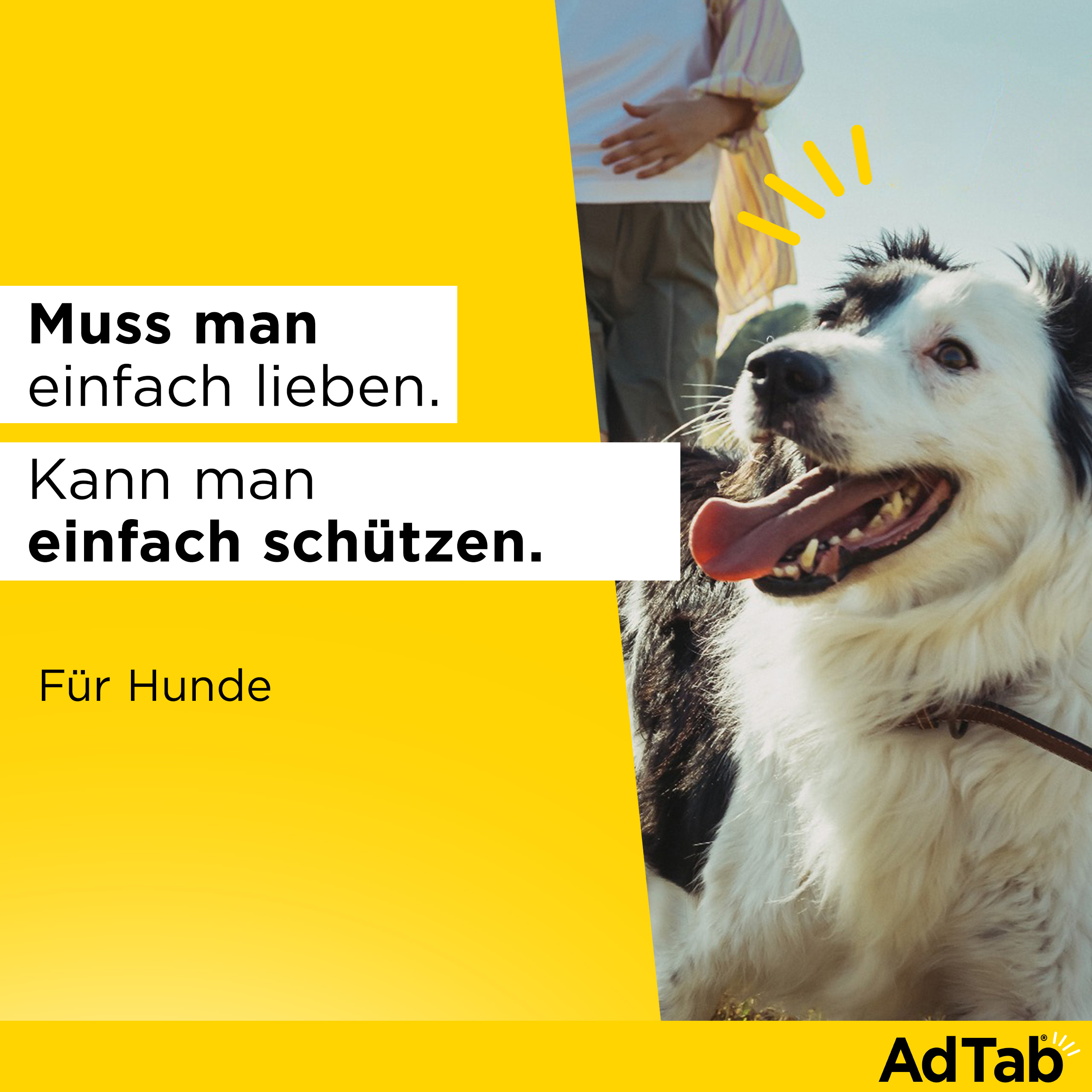 ADTAB 225 mg Kautabletten für Hunde >5,5-11 kg