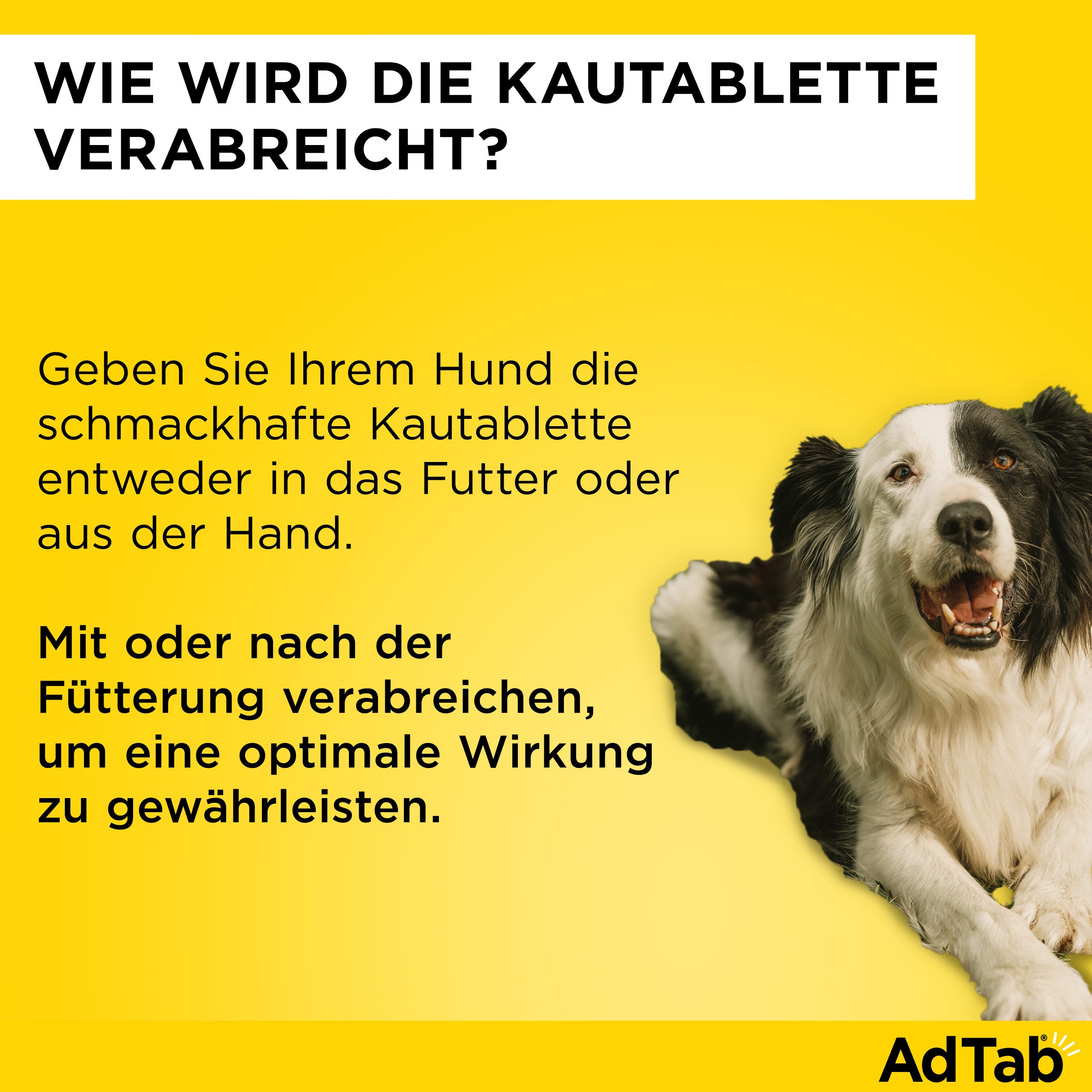 ADTAB 900 mg Kautabletten für Hunde >22-45 kg