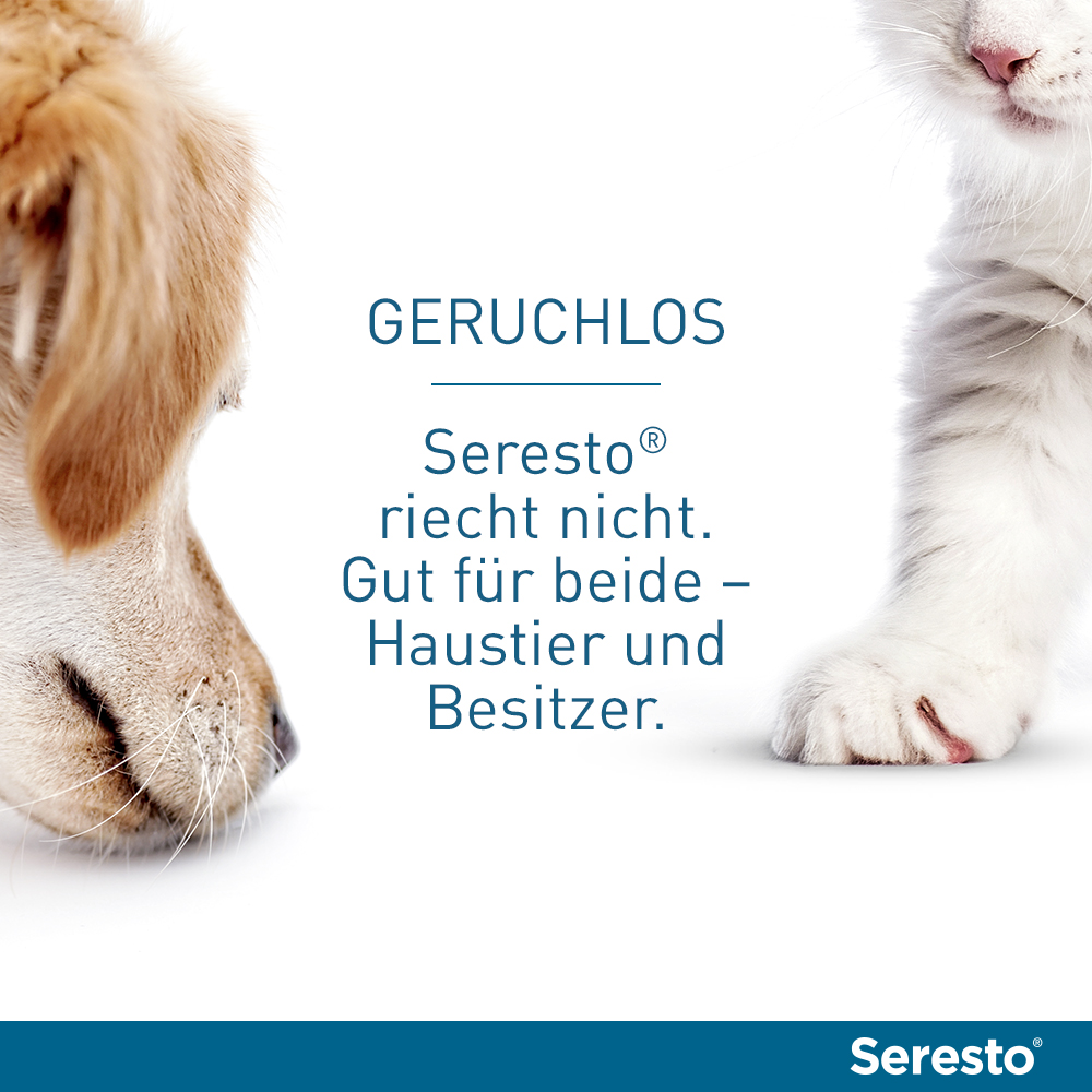 SERESTO 4,50g + 2,03g Halsband für Hunde ab 8kg