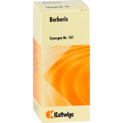 SYNERGON KOMPLEX 101 Berberis Tabletten